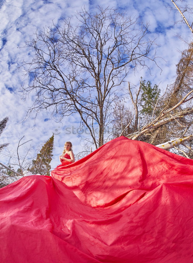 Similar – Image, Stock Photo pZ3 l Drying laundry on the clothesline