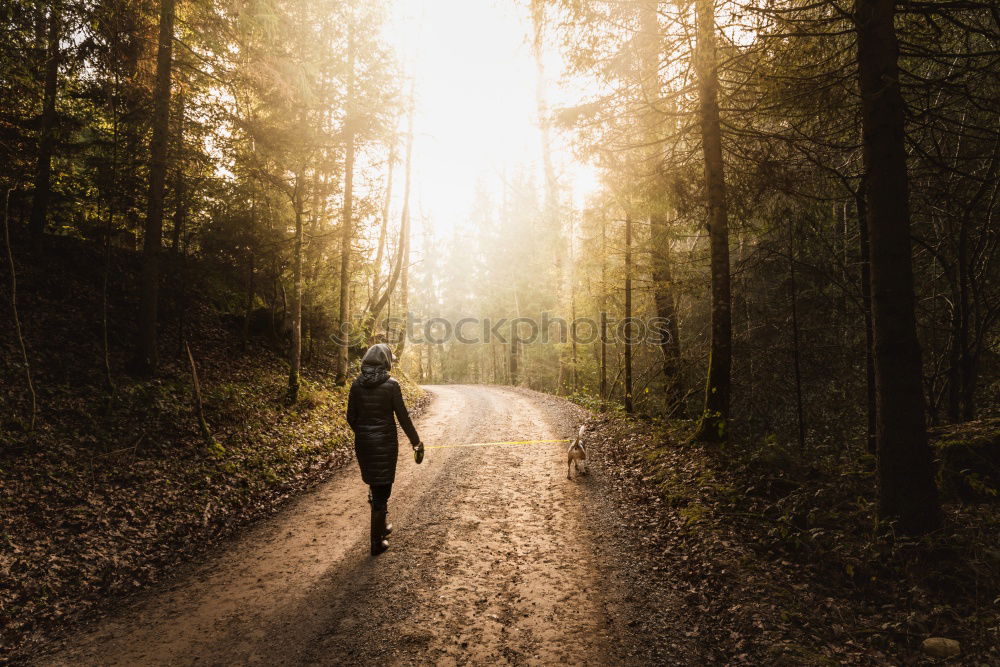 Similar – Cyclist Riding the Bike at Sunset. Sports Concept