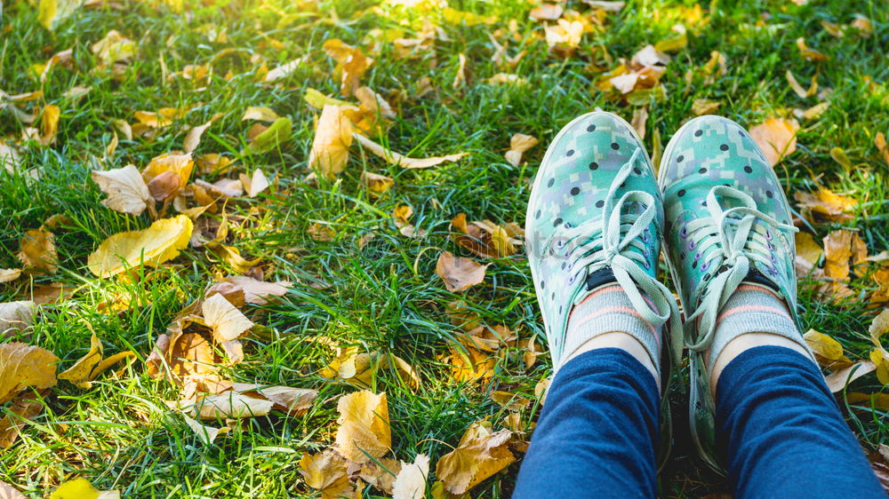 Similar – Selfie of feet in sneakers shoes on grass