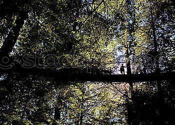 Similar – Image, Stock Photo View through the Iron Curtain