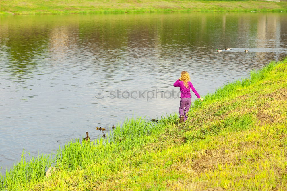 Similar – Image, Stock Photo Alone in freedom Lake