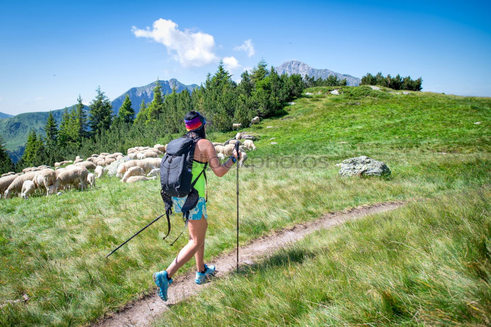Foto Bild Frau mit Rucksack macht Bergwanderung im Vinschgau, Italien