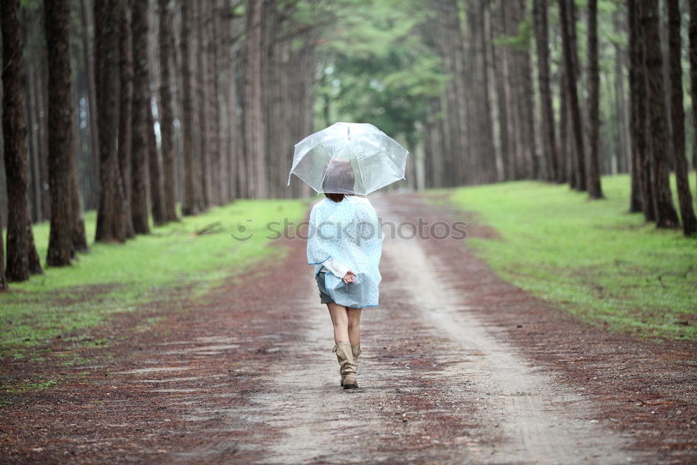 Image, Stock Photo ulna Railroad tracks Red