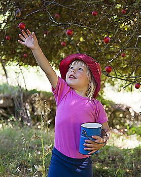 Similar – Image, Stock Photo Apple girl 2 Fruit