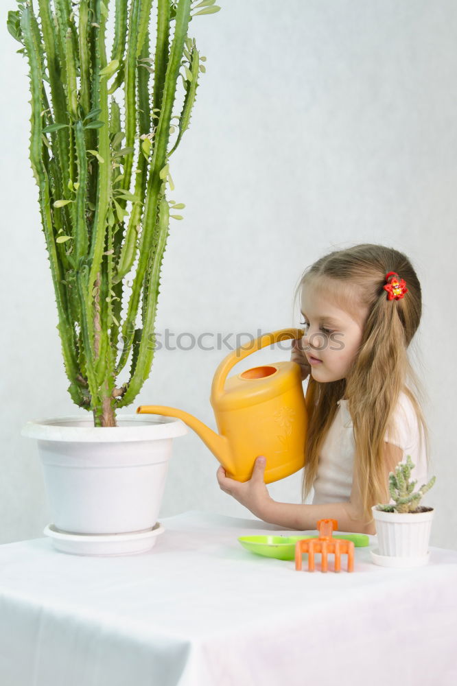 Similar – kid girl is hiding behind house plant in pot