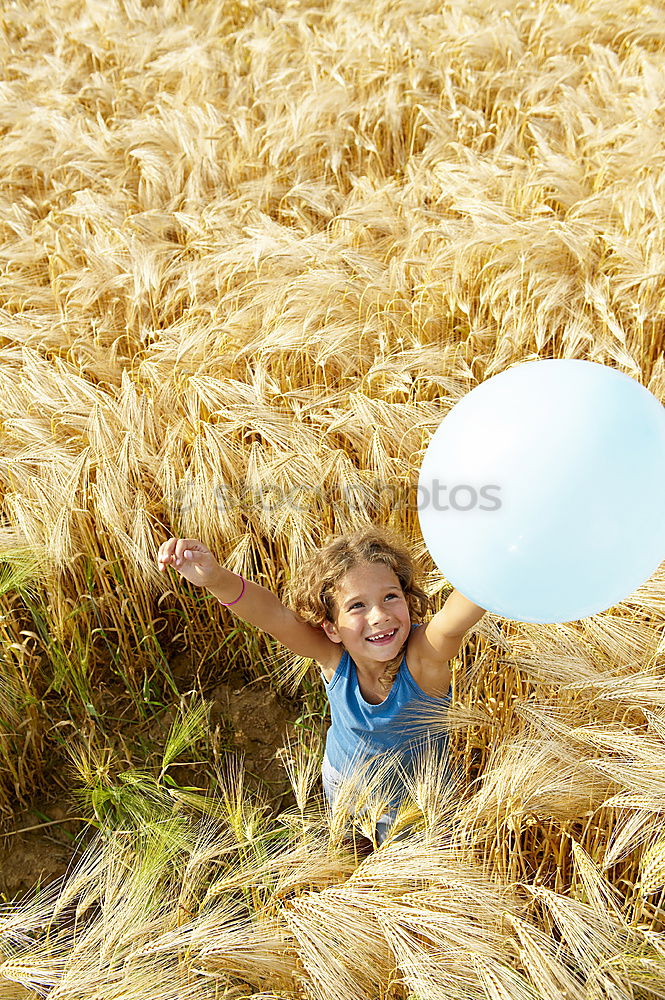 Similar – Image, Stock Photo Champ de liberté Field