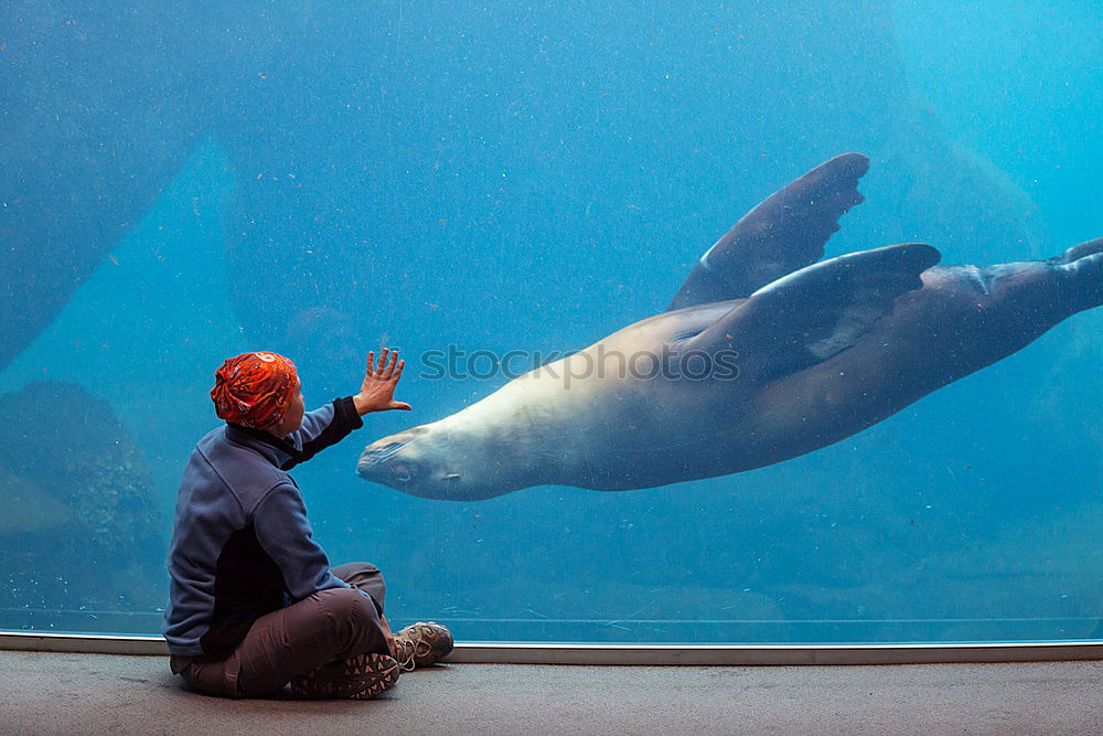 Similar – Image, Stock Photo Animal Encounter