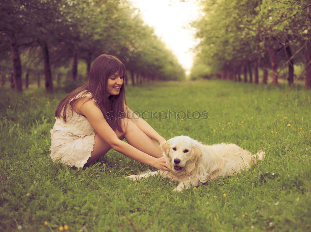 Similar – analog medium format picture of young blond Labrador with young dark haired woman with wild curls in forest in back light