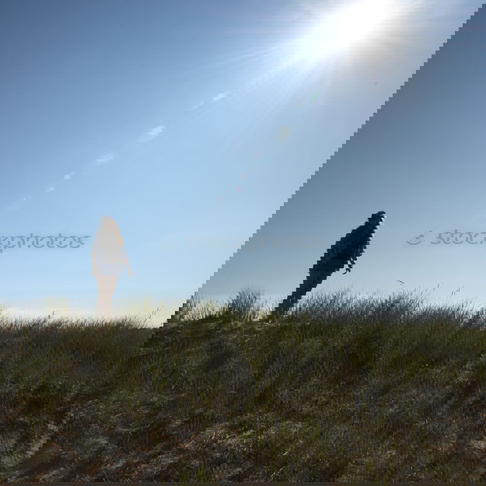 Similar – Foto Bild Rot im Gras 2 Winter