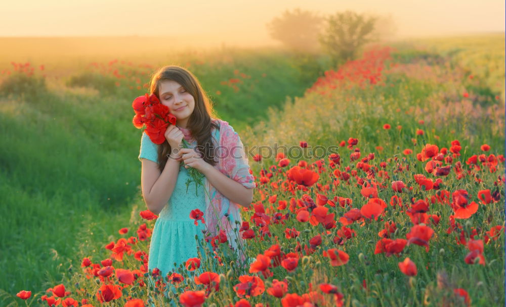 Similar – Mohnröckchen weiß rosa