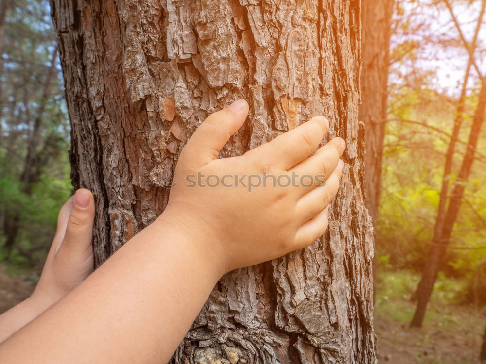 Similar – Image, Stock Photo budding Tree Tree bark