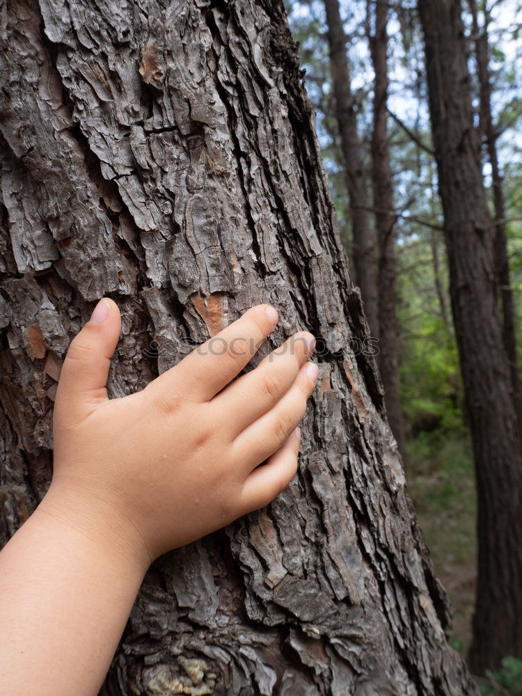 Similar – Little boy in the forest