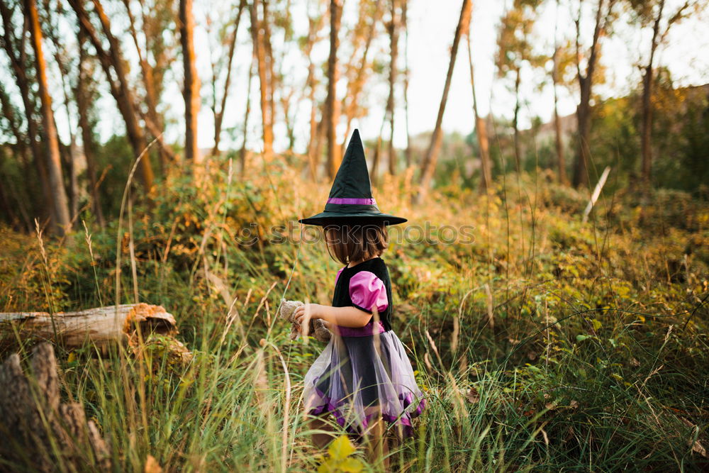 Similar – Cheerful kid in costume posing on tree