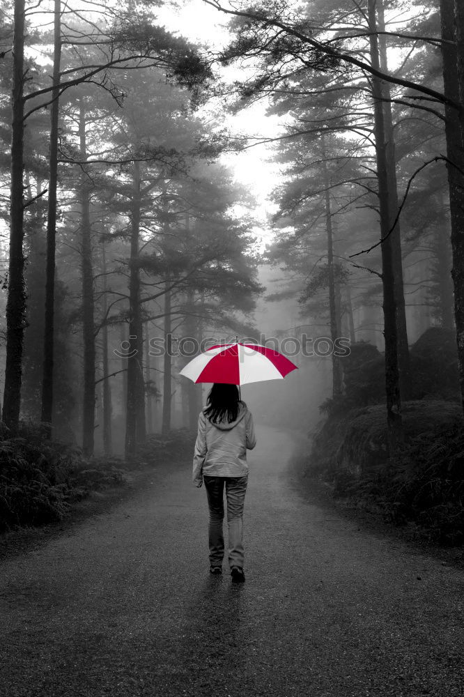 Similar – red umbrella Human being 1