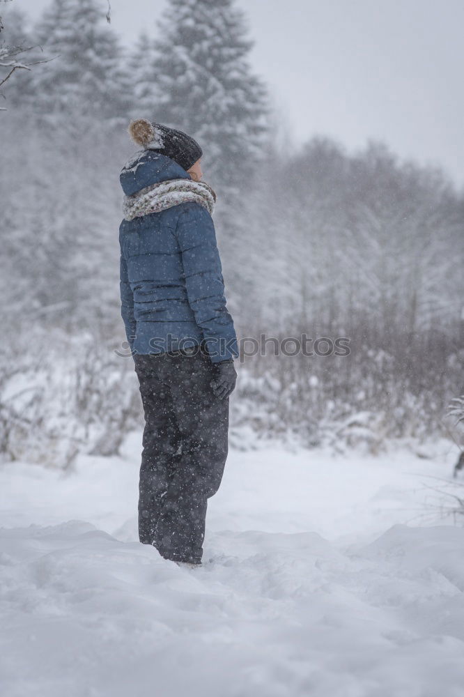 Similar – Snow flurries.