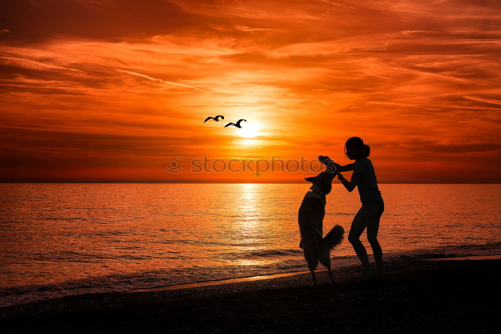 Similar – Mother and son holding hands on a beach at sunset