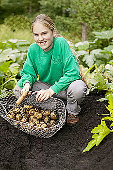 Similar – Image, Stock Photo Potato harvest, potatoes, vegetable harvest;