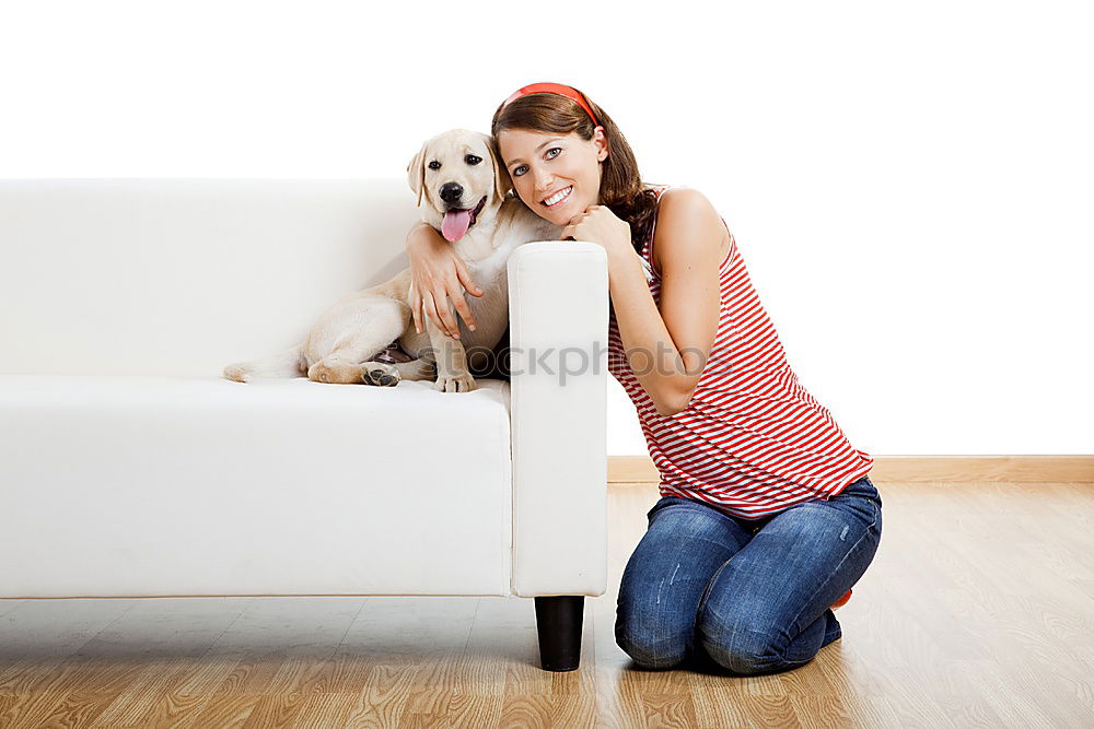 Similar – a dog and its due play on a sofa with a strong rope