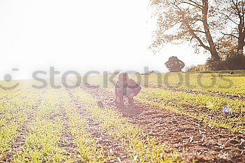 Similar – Image, Stock Photo The outlet must be…