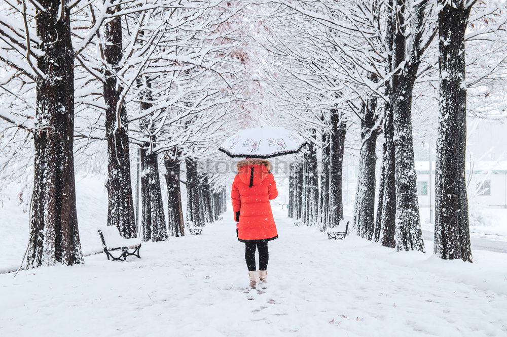 Similar – Image, Stock Photo red umbrella Human being 1