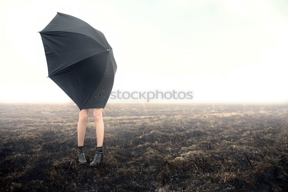 Similar – Foto Bild unterm pflaster liegt der strand