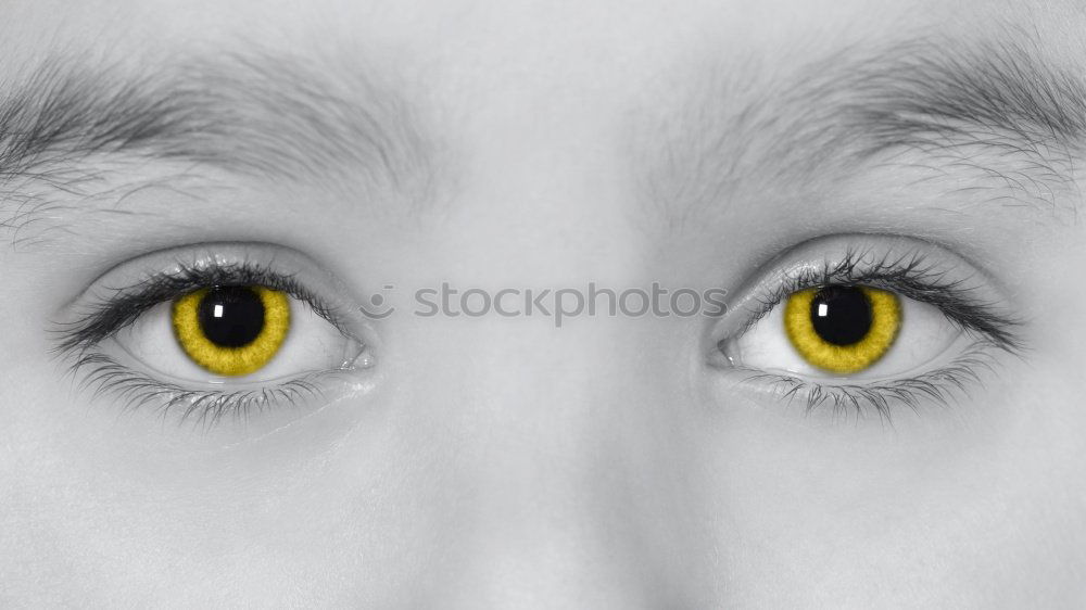 Similar – Foto Bild Mehr als tausend Worte…