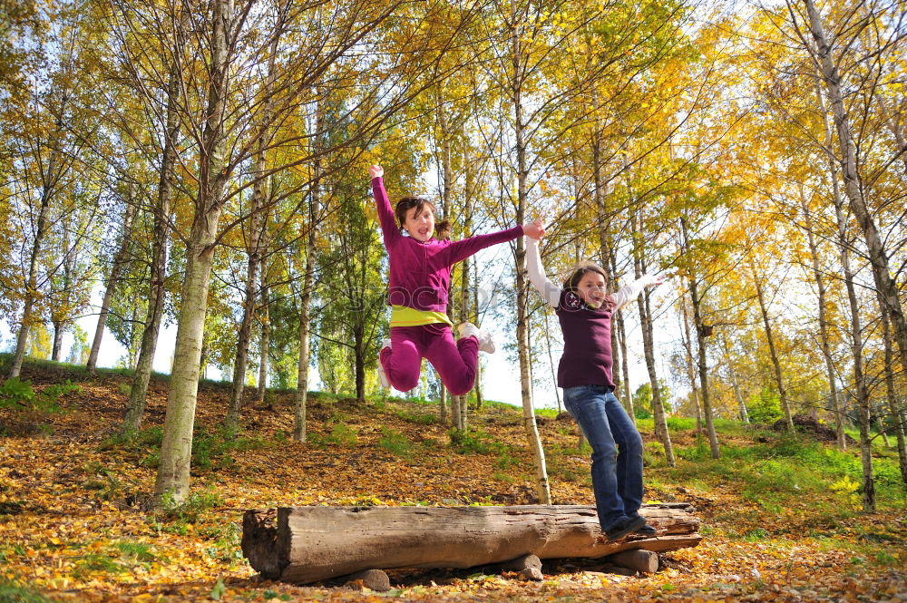 Similar – Image, Stock Photo Autumn in Lüneburger Heide