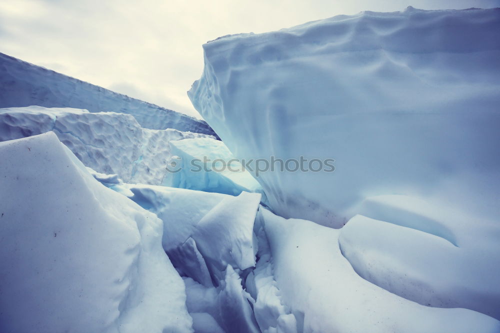 Similar – Image, Stock Photo CHEESE BREAD Environment