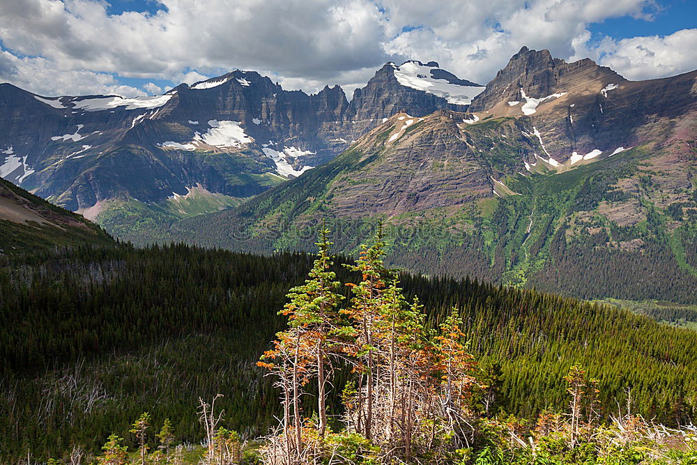 Similar – Icefields Parkway