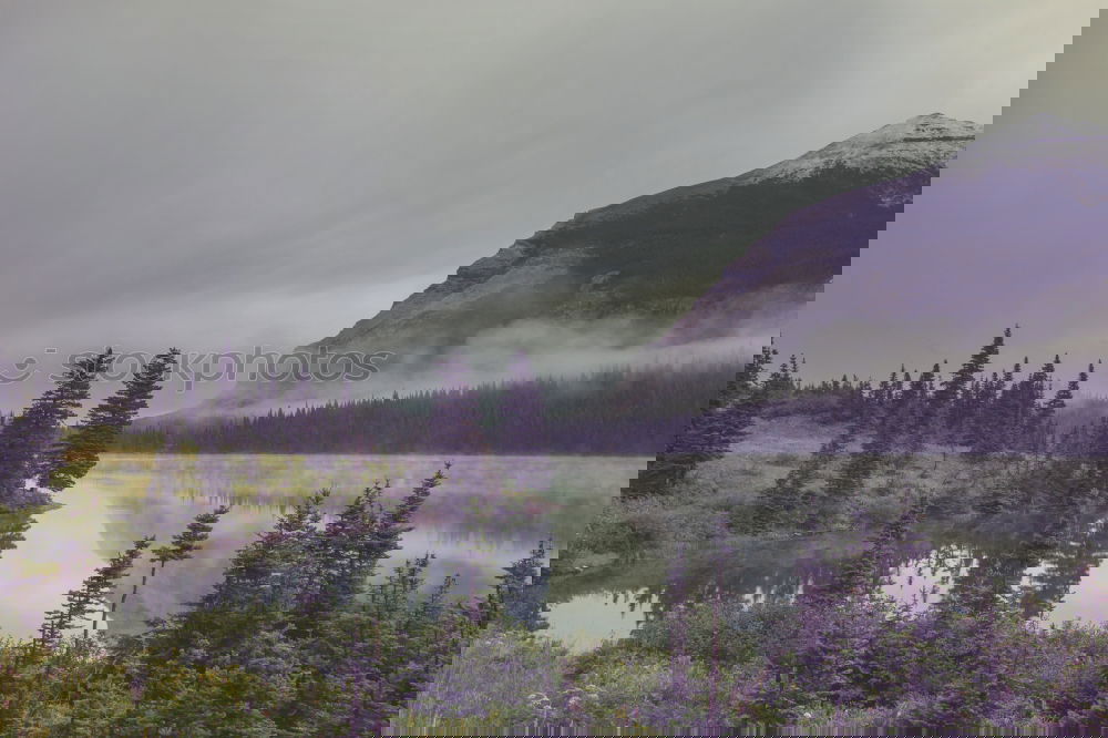 Similar – Image, Stock Photo Calm lake in hillside Lake