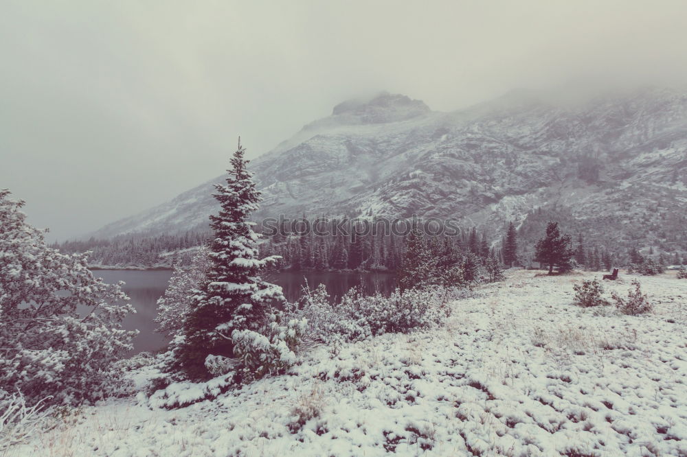 Image, Stock Photo Rondane V Trip Adventure