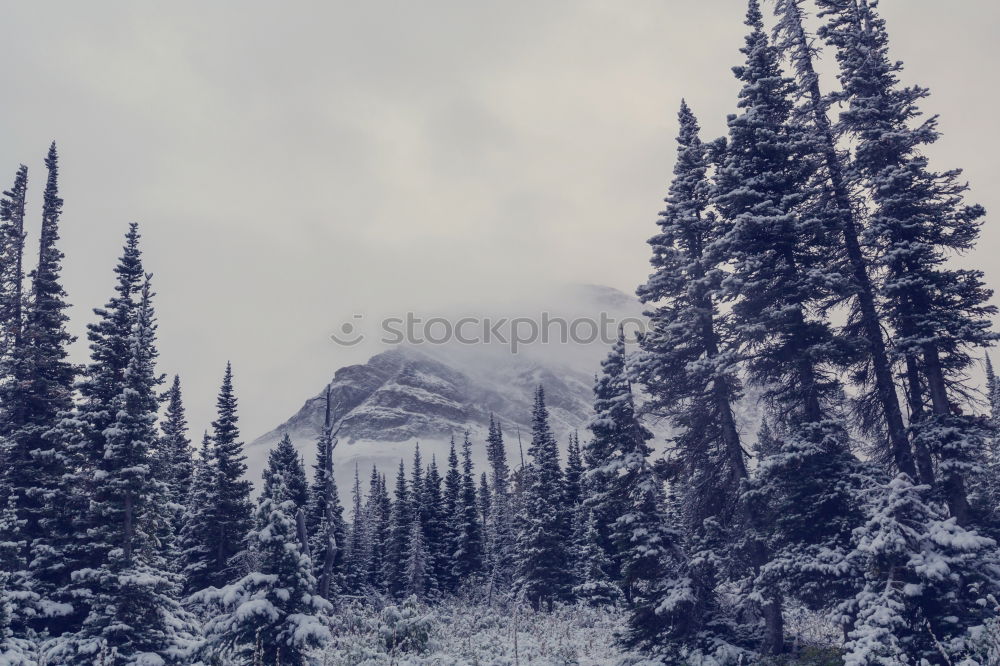 Similar – Road in snowy countryside near mountain