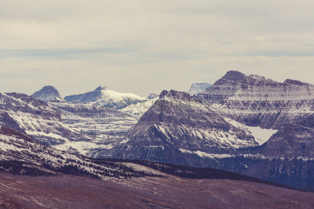 Similar – Tourist standing in mountains