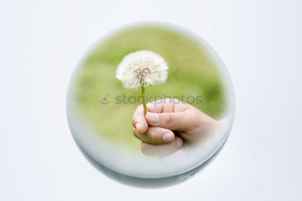 Similar – Image, Stock Photo fly away… Hand Fingers