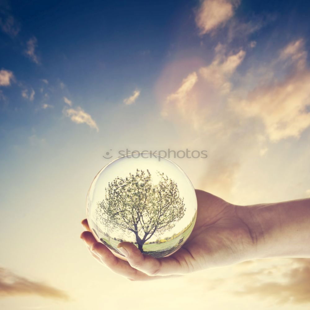 Similar – Image, Stock Photo Family in Christmas tree ball