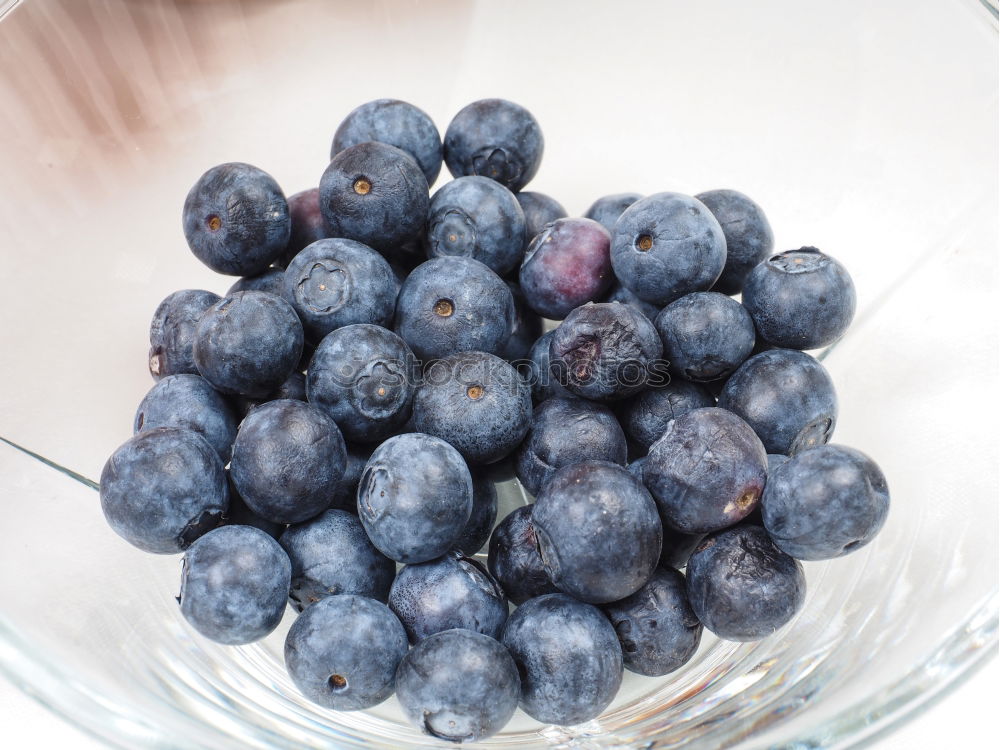 Similar – blueberries II Blueberry