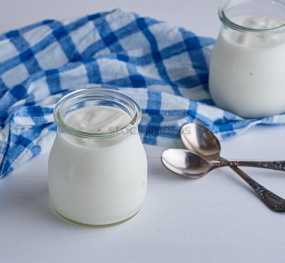 jars with homemade yogurt