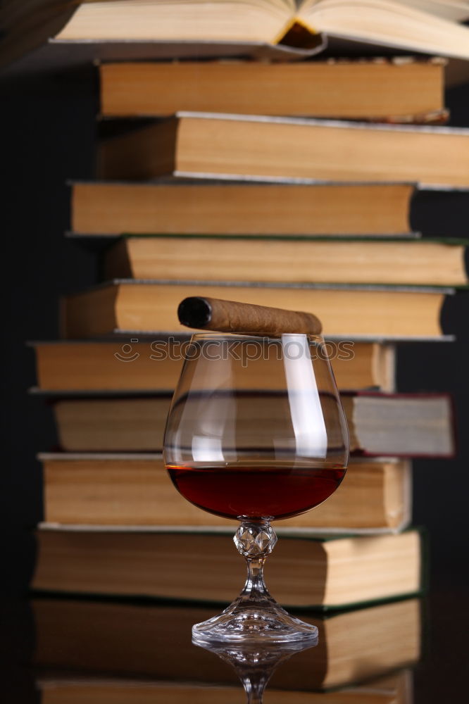 Similar – Image, Stock Photo A glass of red wine and an open book. Time for yourself.