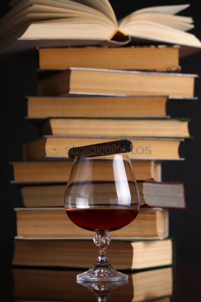 Similar – Image, Stock Photo A glass of red wine and an open book. Time for yourself.