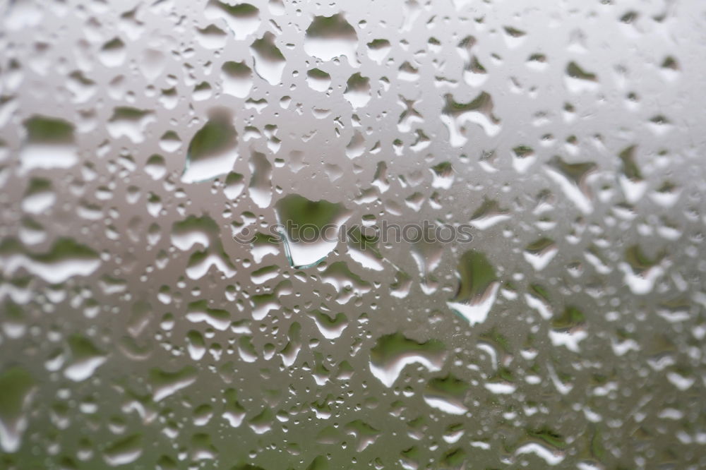 Similar – Image, Stock Photo dripping wet Window