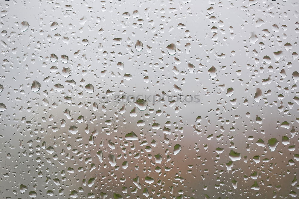 Similar – Blurred street through a rainy bus window in Hong Kong