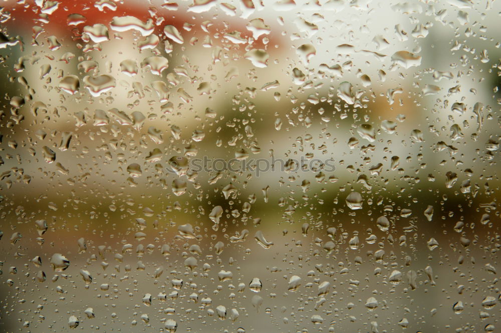 Similar – Image, Stock Photo surprised… Clouds Window