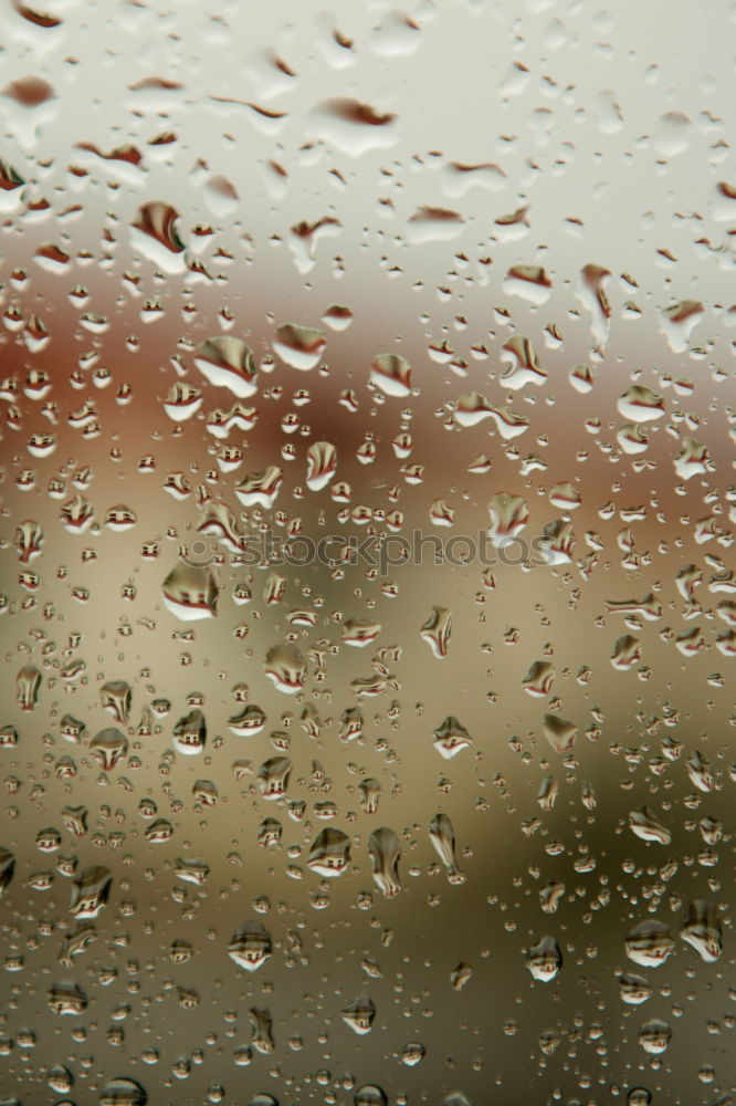 Similar – Image, Stock Photo sea view Ocean Beach Rain