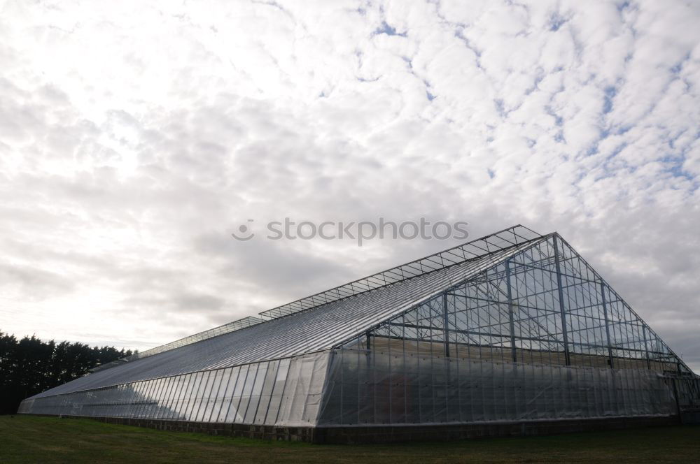 Image, Stock Photo vault Sky Clouds Grass