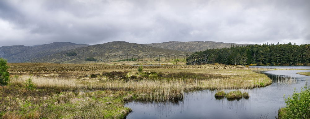 Similar – Image, Stock Photo Lough Leane Nature