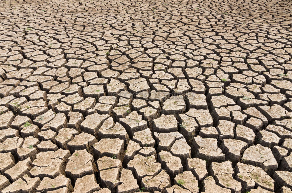 Similar – Image, Stock Photo Cracked soil Summer