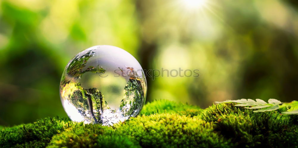 Similar – Image, Stock Photo Lost Place Environment