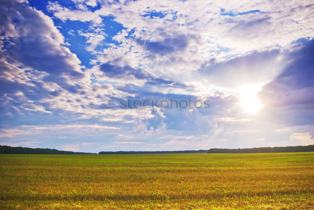 First rays of sun Wellness