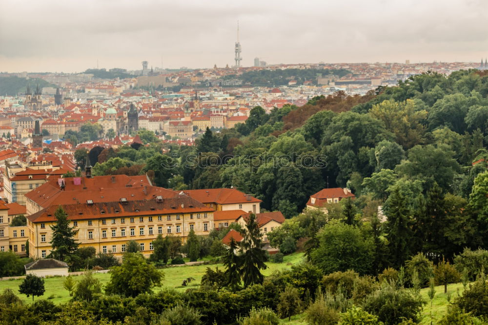 Similar – NATURE IN PRAGUE Prague