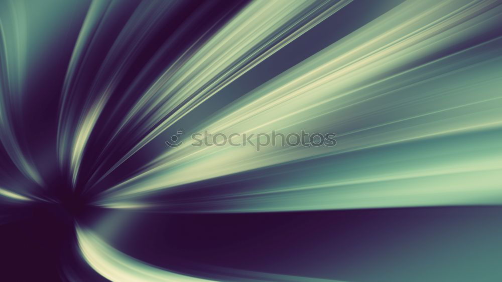 Similar – Image, Stock Photo araucaria Nature Plant